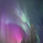 Koivuranta Kajaani Horská chata Pikkuhannus